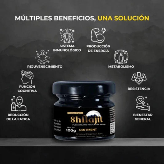 Shilajit Resina Original